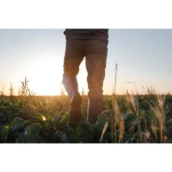 Jachtlaarzen Renfort 540 Met Rits 15 Jachtlaarzen Renfort 540 Met Rits -Goedkope SchoenStijl Winkel jachtlaarzen renfort 540 met rits 6