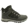 Dare 2b Somoni Heren Hiking Schoenen - Zwart